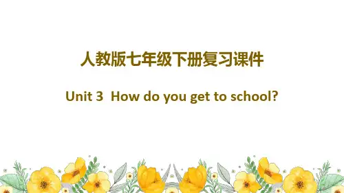 Unit3  人教版英语七年级下册复习课件 (共39张PPT)