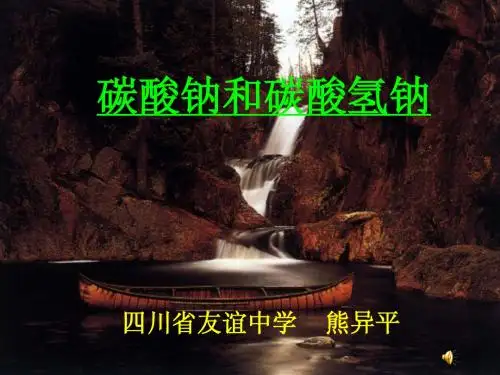 碳酸钠和碳酸氢钠