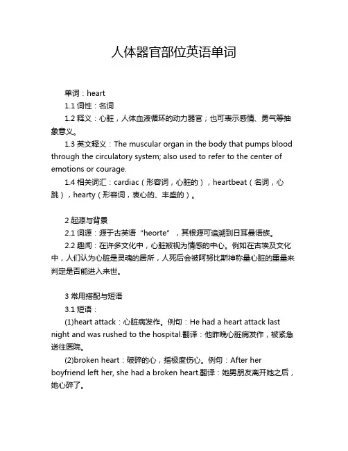 人体器官部位英语单词