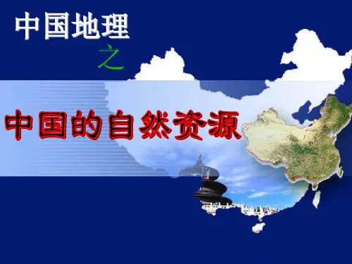 高三地理第一轮复习——中国的自然资源.ppt