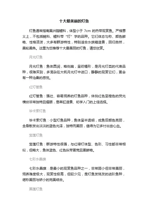 十大最美丽的灯鱼