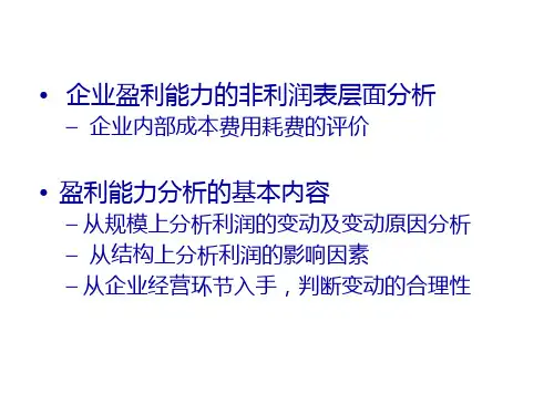 某公司盈利管理知识能力与财务分析19页PPT
