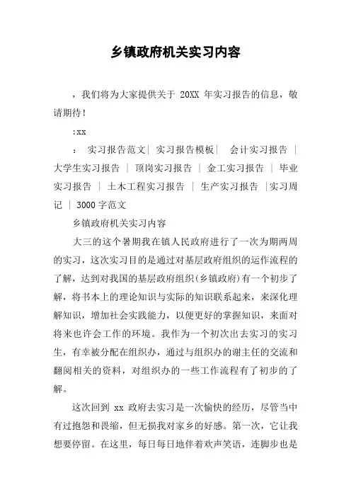乡镇政府机关实习内容
