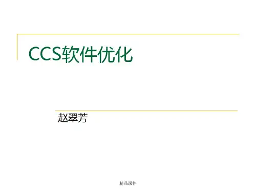 第四章CCS软件优化