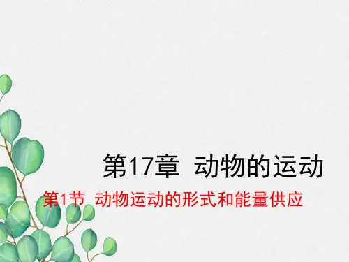 (新)苏教版生物八上《动物运动的形式和能量供应》公开课(课件) 5