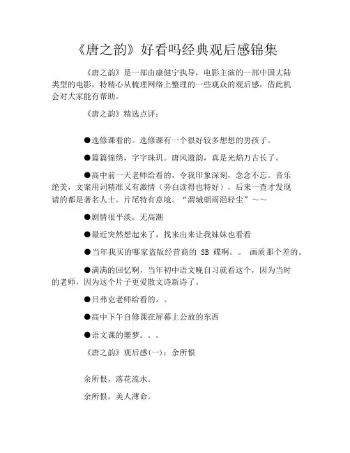 《唐之韵》好看吗经典观后感锦集