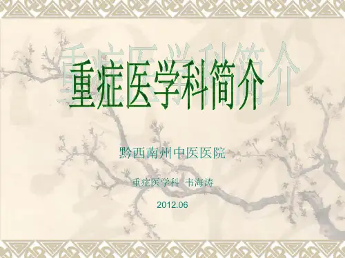 重症医学科简介ppt课件