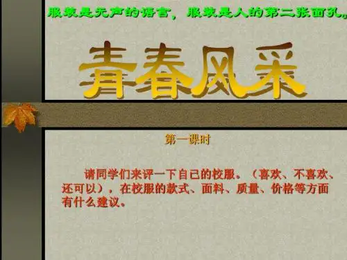 青春风采第一课时