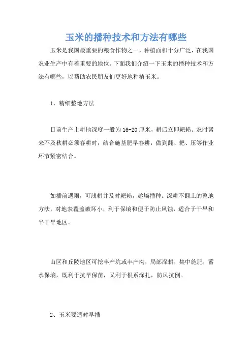 玉米的播种技术和方法有哪些