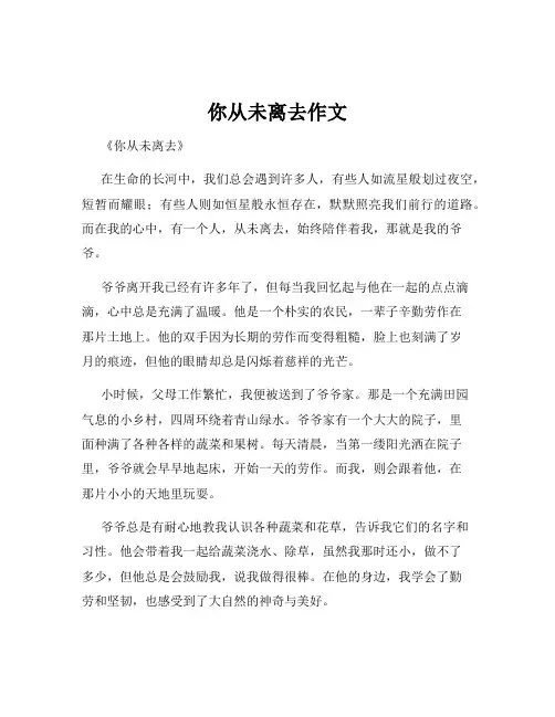 你从未离去作文
