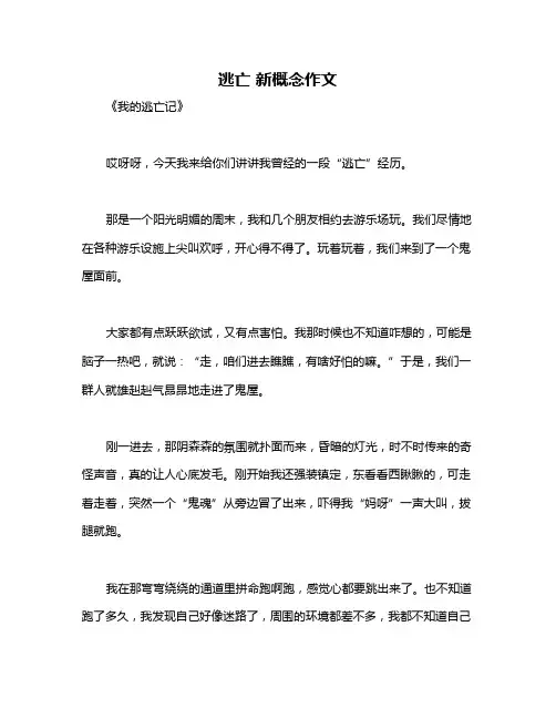 逃亡 新概念作文