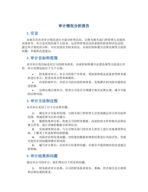 审计情况分析报告