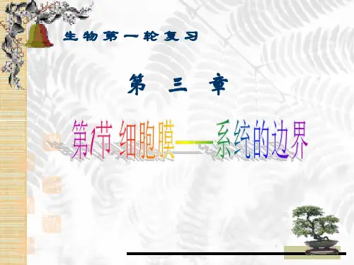 高三生物第一轮复习细胞膜名师精编课件