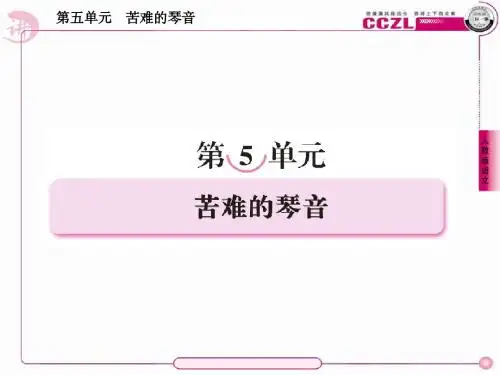 高中语文 诗歌5【精读】雪落在中国的土地上课件 新人教版选修《中国现代诗歌散文欣赏》