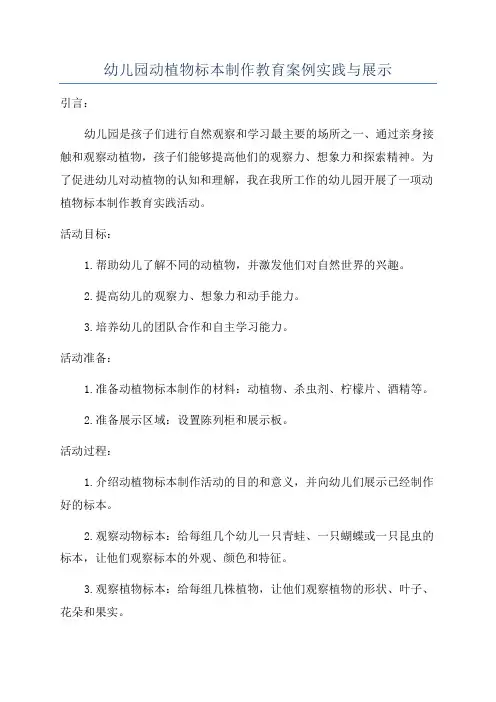 幼儿园动植物标本制作教育案例实践与展示