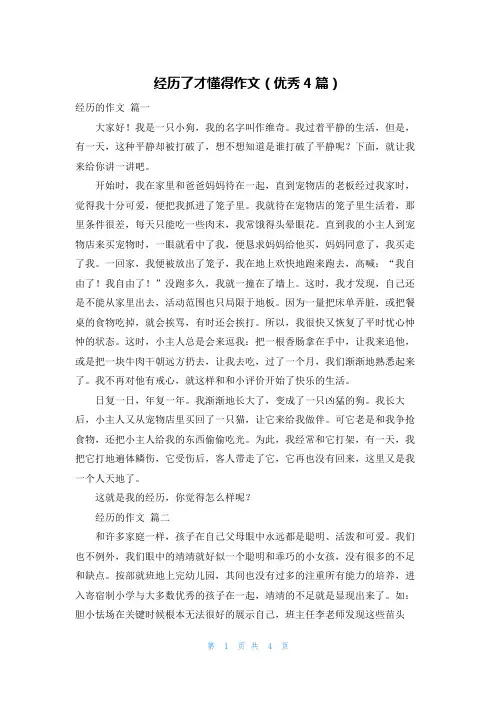 经历了才懂得作文(优秀4篇)