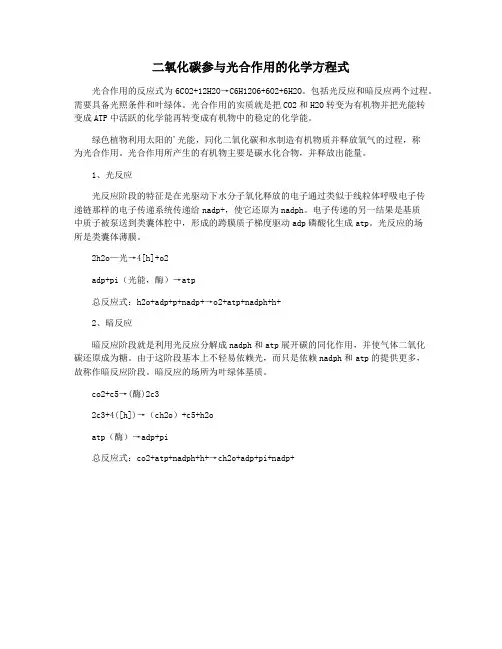 二氧化碳参与光合作用的化学方程式