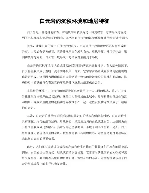 白云岩的沉积环境和地层特征