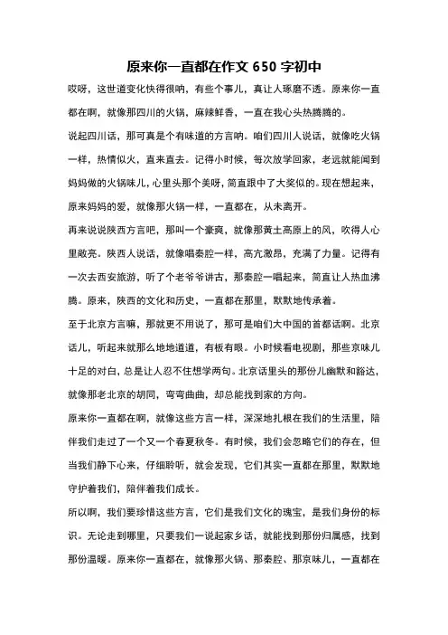 原来你一直都在作文650字初中