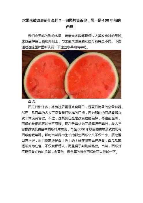 水果未被改良前什么样？一组图片告诉你，图一是400年前的西瓜！