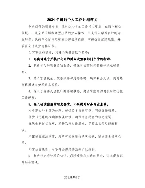 2024年出纳个人工作计划范文（五篇）