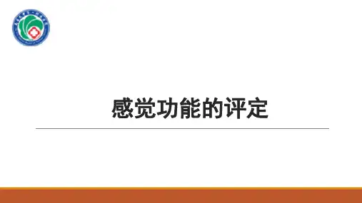 感觉功能的评定