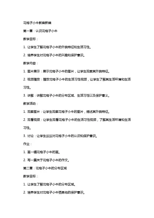 花格子小牛教案新编