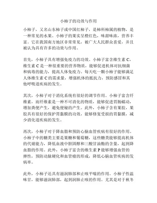 小柿子的功效与作用