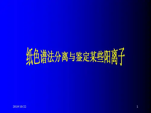 用纸色谱法分离和鉴定某些阳离子PPT课件