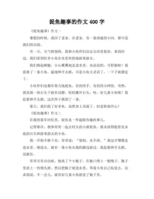 捉鱼趣事的作文400字