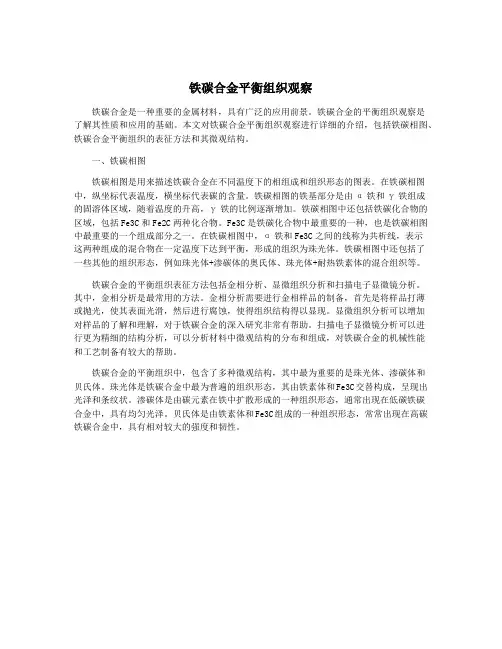 铁碳合金平衡组织观察