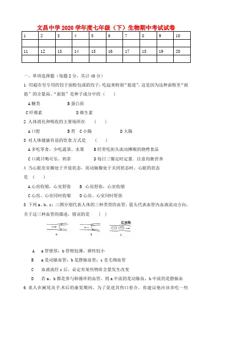 湖北省孝感市2020学年七年级生物下学期期中测试试题(无答案) 新人教版