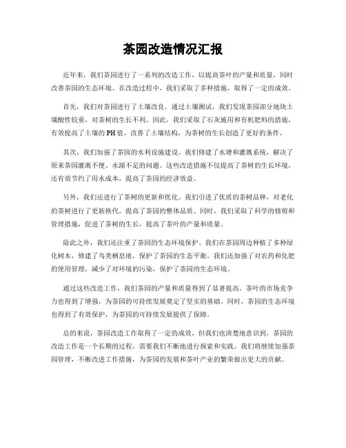 茶园改造情况汇报