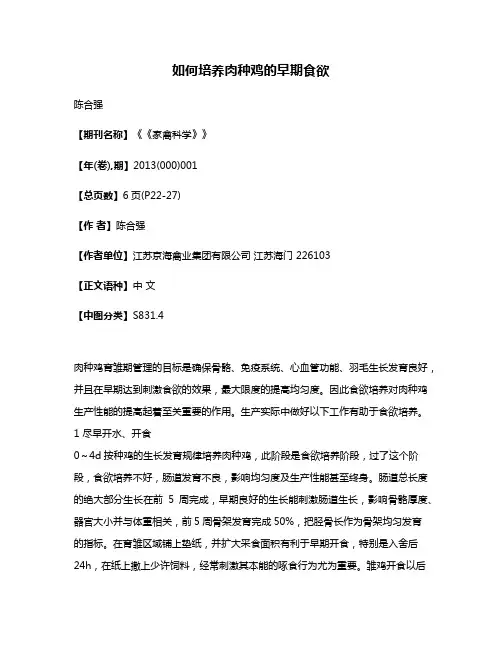 如何培养肉种鸡的早期食欲