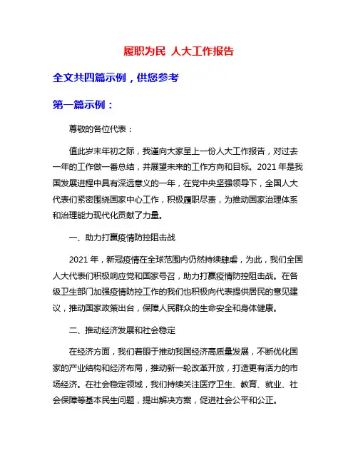 履职为民 人大工作报告