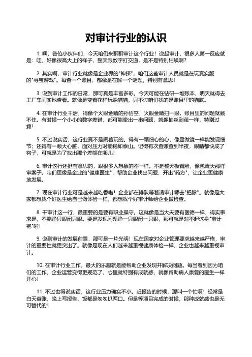 对审计行业的认识