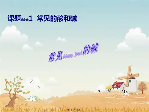 九年级化学下册 第10单元 课题1《常见的酸和碱》常见的碱课件