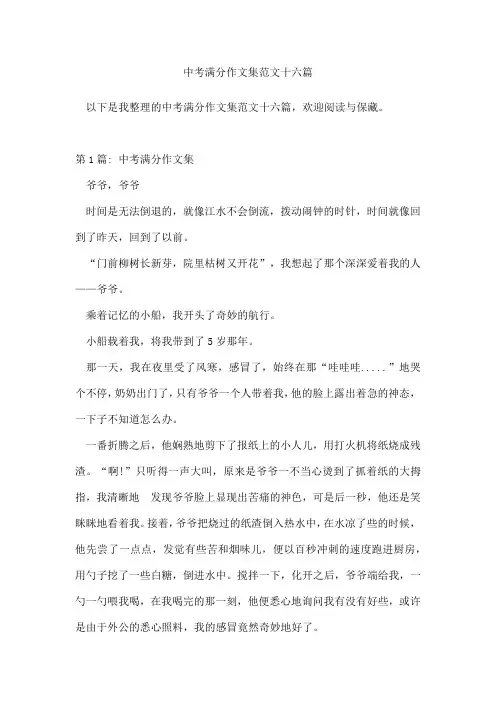 中考满分作文集范文十六篇