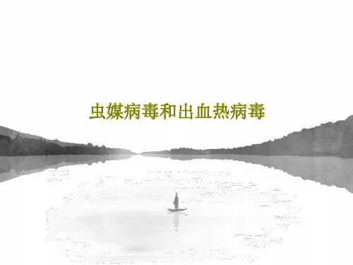 虫媒病毒和出血热病毒PPT文档共36页