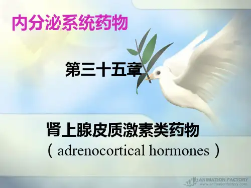 第35章 肾上腺皮质激素类药物