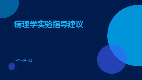 病理学实验指导建议