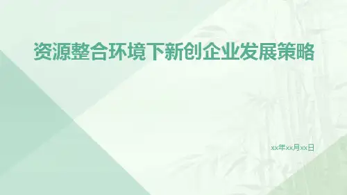 资源整合环境下新创企业发展策略