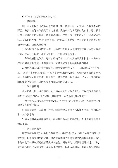 精选公安内部审计工作总结