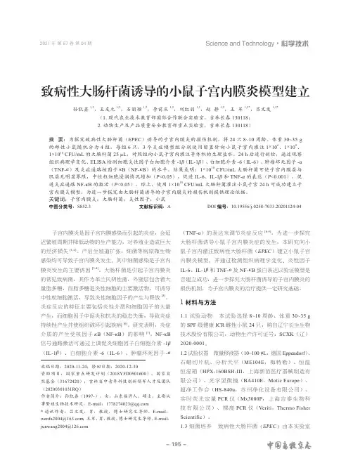 致病性大肠杆菌诱导的小鼠子宫内膜炎模型建立