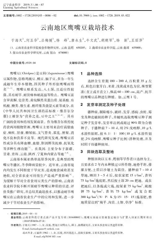云南地区鹰嘴豆栽培技术