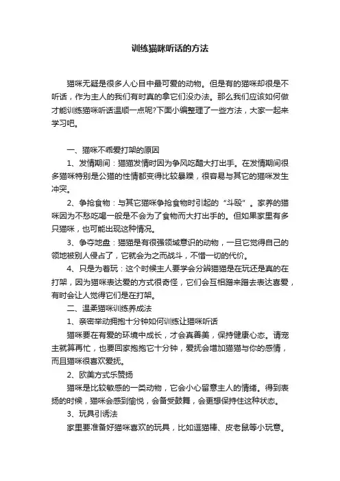 训练猫咪听话的方法
