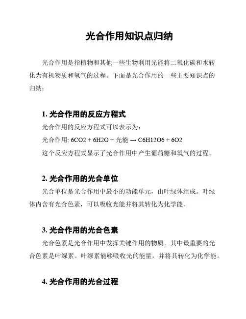 光合作用知识点归纳