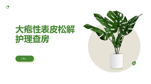大疱性表皮松解护理查房PPT