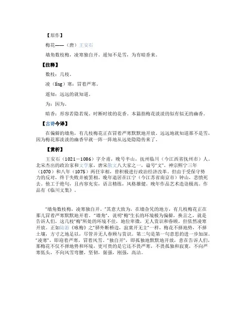 王安石《梅花》注释及赏析