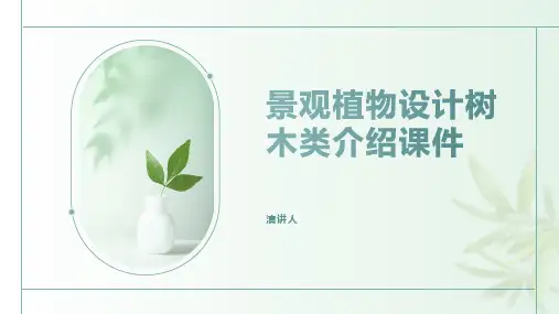 景观植物设计树木类介绍课件